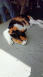 200908231058000.jpg